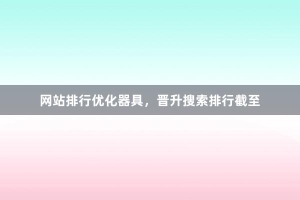 网站排行优化器具,晋升搜索排行截至